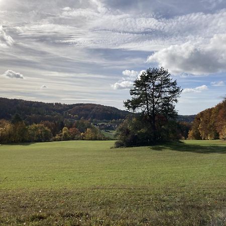 Brunnerhof Urlaub Auf Dem Land Apartman Hartenstein  Kültér fotó