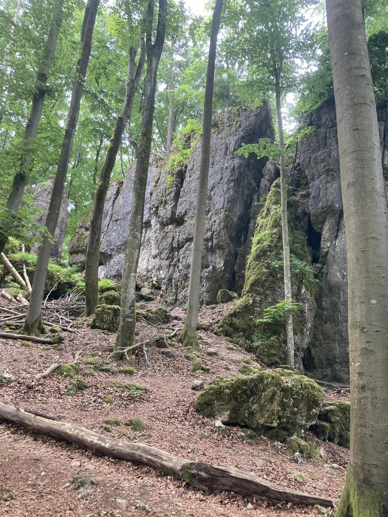 Brunnerhof Urlaub Auf Dem Land Apartman Hartenstein  Kültér fotó