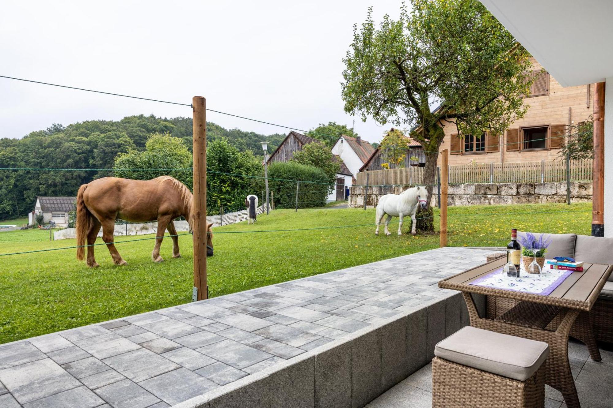 Brunnerhof Urlaub Auf Dem Land Apartman Hartenstein  Kültér fotó